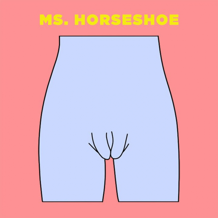 Ms-Horseshoe-vagina-illustration.jpg